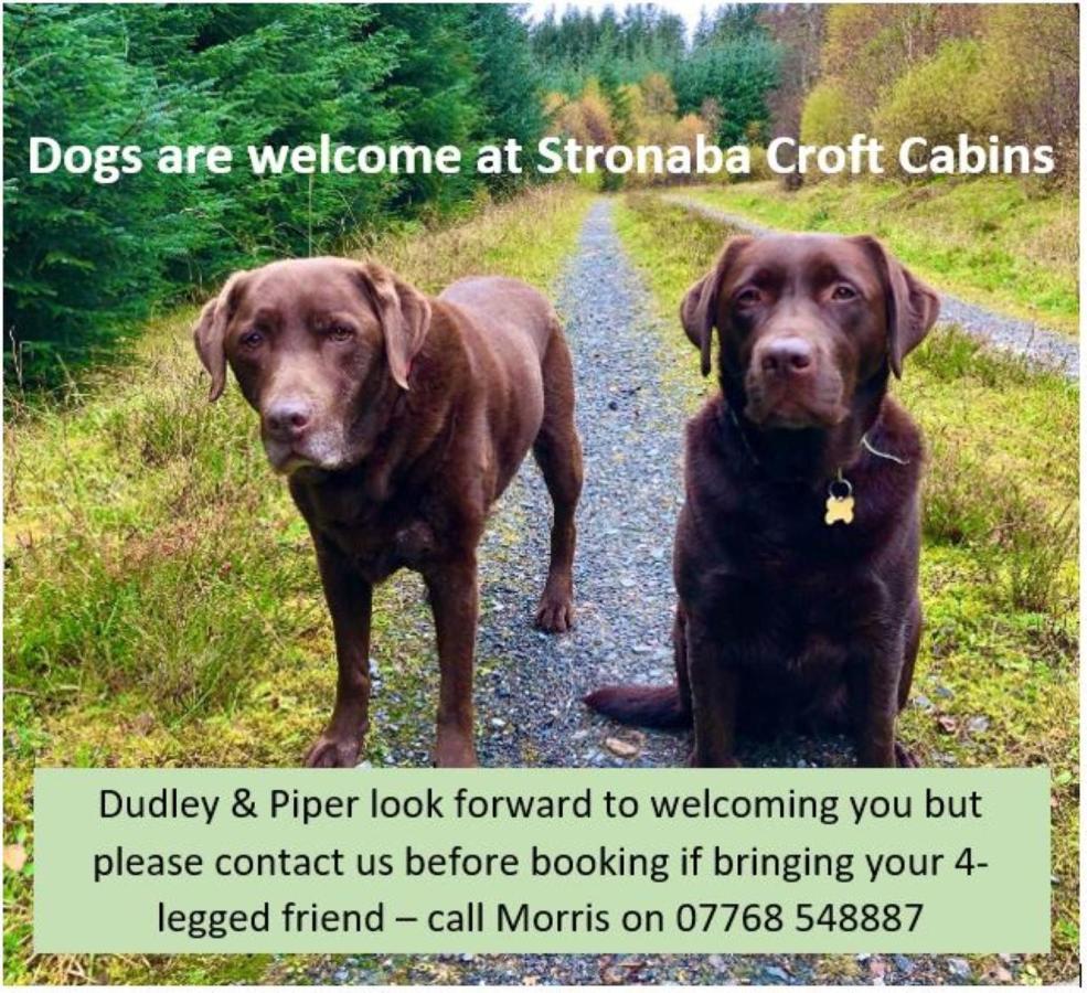 Stronaba Croft Cabins Spean Bridge Eksteriør bilde